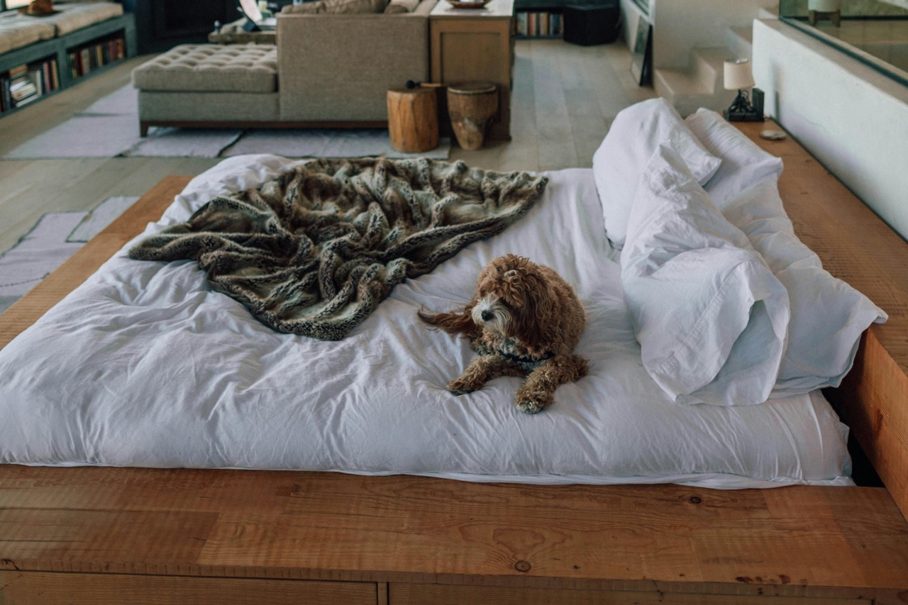 Mattress on the Floor