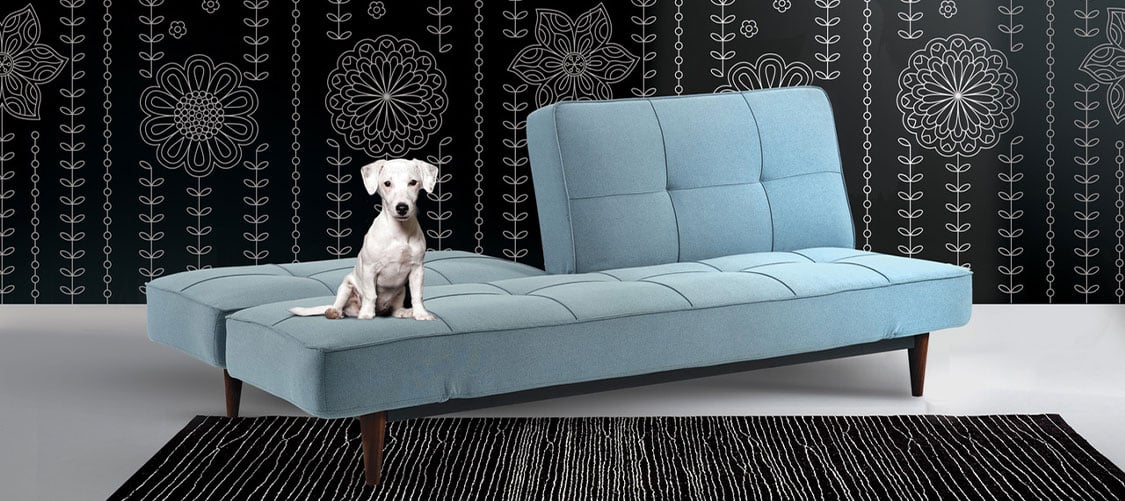 Sealy Sofa Convertibles