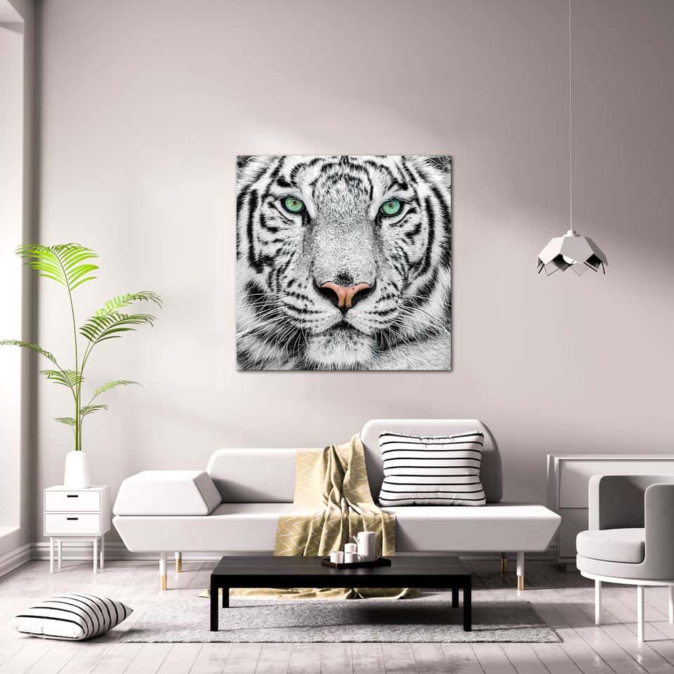 White Tiger Acrylic Print Unframed Wall Art by Amazing Rugs