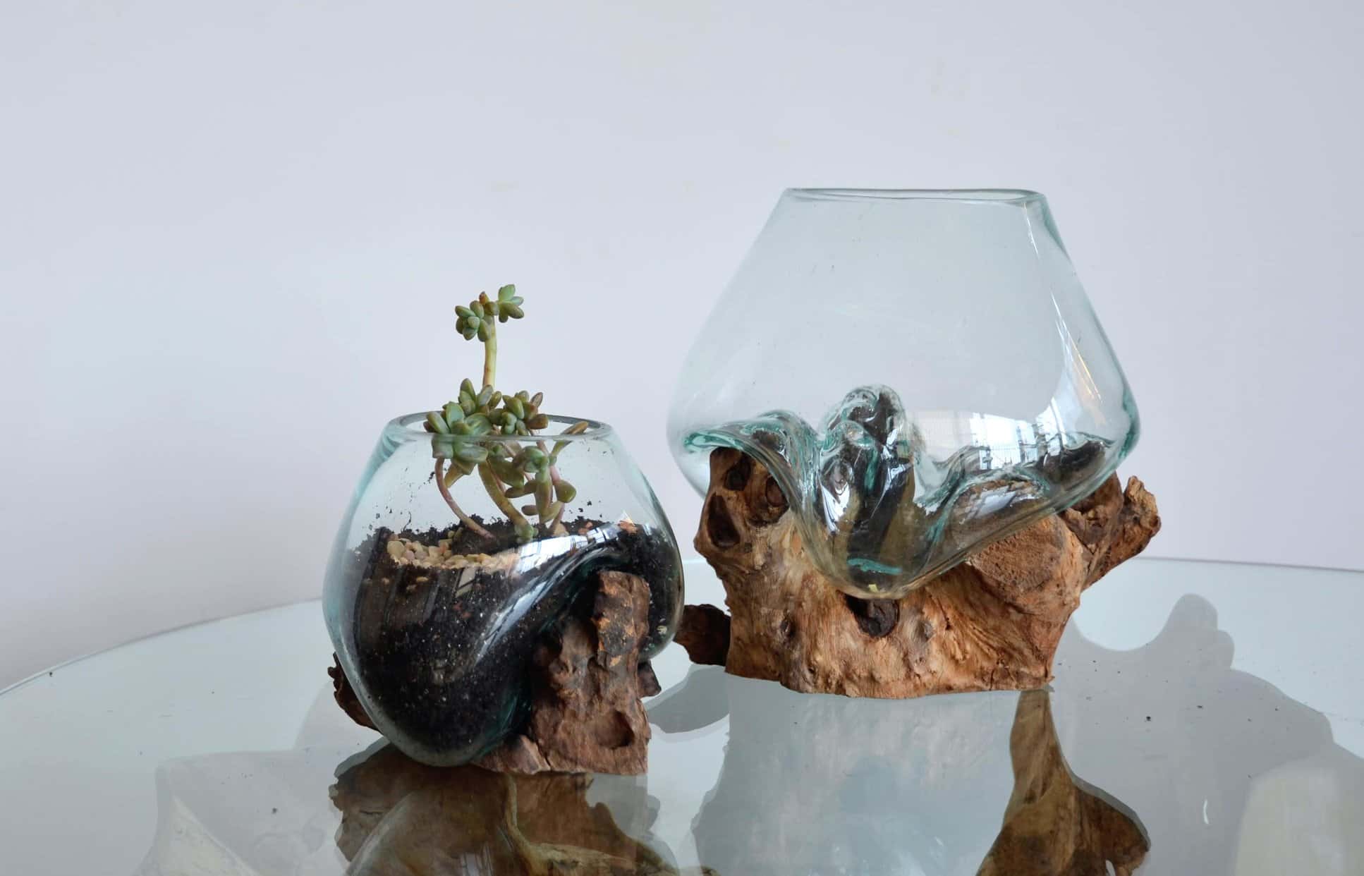 Wood & Molten Glass Terrarium - Large Wide by From the Source