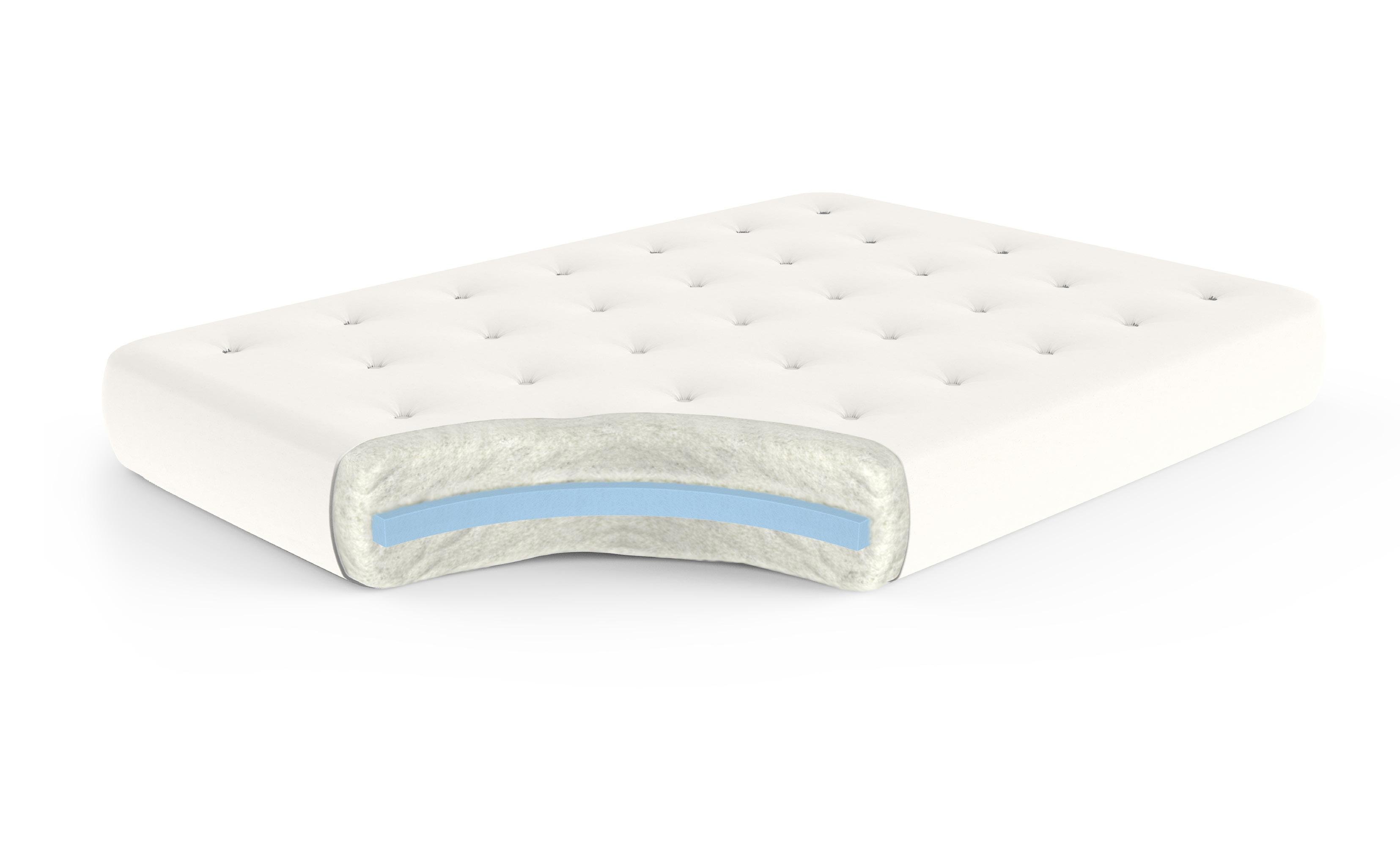 Cotton and Foam 6 Inch Futon Mattress by Gold Bond