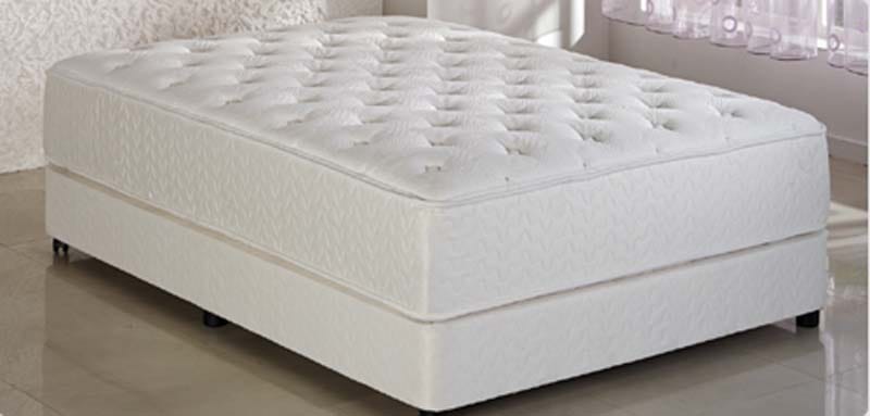 Aloe Vera Mattress Pad-Twin