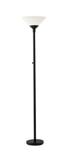 Aries Floor Lamp (Painted Black) by Adesso Furniture