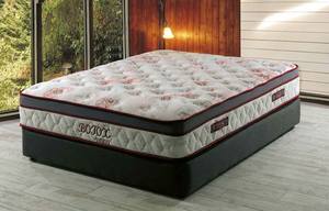 Botox 12-inch Premium Quality 5 Zone Coils Mattress by Casamode