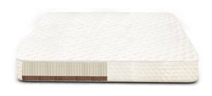 Restnest Organic Latex Mattress - Natural Latex & Coconut Fiber 9 Inch by TFSleep