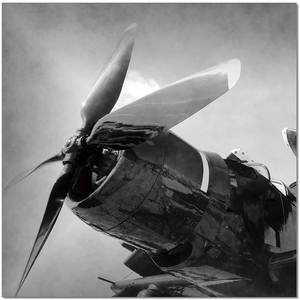 Premium Acrylic Wall Art Aircraft Rotor - SB-61298C by J&M Furniture