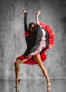 Premium Acrylic Wall Art Flamenco by J&M Furniture