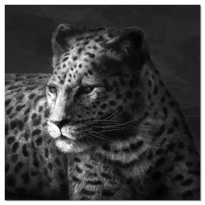 Premium Acrylic Wall Art Cheetah - SB-61253A by J&M Furniture