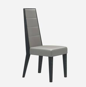 Valentina Modern Gray Dining Chair (Set of 2) by J&M Furniture