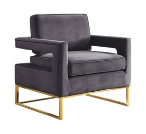 Noah Grey & Gold Velvet Accent Chair by Meridian Furniture