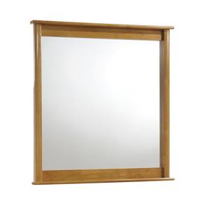 Secrets Mirror by Night & Day Furniture