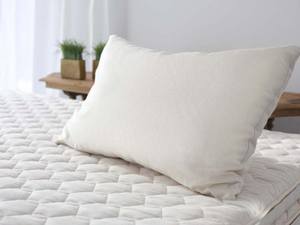 Kapok Organic Pillow by Savvy Rest