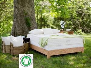 Serenity 10 Inch Organic Dunlop Mattress by Savvy Rest
