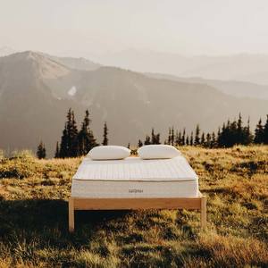 Serenity 10 Inch Mixed Dunlop & Talalay Natural Mattress by Savvy Rest