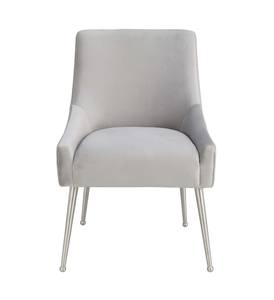 Beatrix Pleated Light Gray Velvet Side Chair - Silver Legs by TOV Furniture