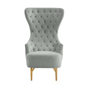Jezebel Gray Velvet Wingback Chair by TOV Furniture