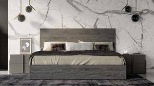Nova Domus Lucia Italian Modern Matte Grey / Elm Grey Bed by VIG Furniture
