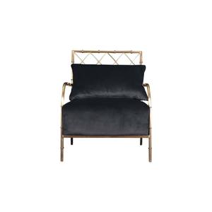 Divani Casa Ignacio - Glam Black Velvet & Gold Accent Chair by VIG Furniture