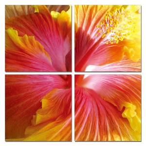 Modrest Hibiscus 4-Panel Photo on Canvas by VIG Furniture