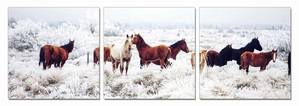 Modrest Mustangs 3-Panel Photo On Canvas by VIG Furniture