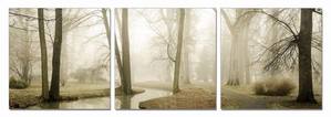 Modrest Mist 3-Panel Photo On Canvas by VIG Furniture