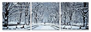 Modrest Winter Trees 3-Panel Photo by VIG Furniture