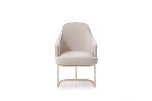 Modrest Tyler Modern Grey & Gold Dining Chair by VIG Furniture