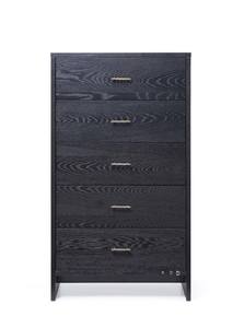 Modrest Wales Modern Smoked Ash Chest by VIG Furniture