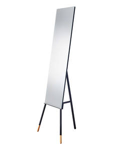 Louise Floor Mirror (Black) by Adesso Furniture