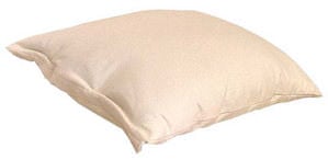 Organic Buckwheat Pillow by White Lotus