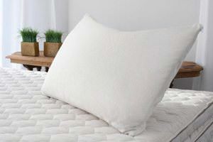 Shredded Natural Latex Pillow by Savvy Rest