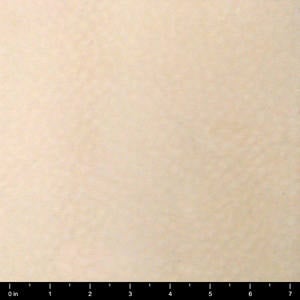 Sample Swatch for Premium Heavy Texture W3 Fabric by Prestige