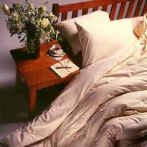 Organic Sateen Complete Sheet Set Natural by White Lotus