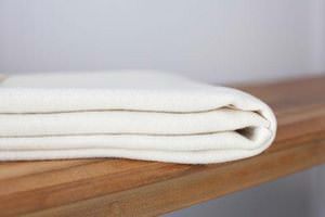 Organic Wool Mattress Pad by Savvy Rest