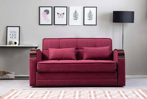 Elegance Red Microfiber Sleeper Sofa by Alpha Furniture