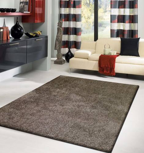 Fancy Collection Solid Brown Shag Area Rug by Amazing Rugs