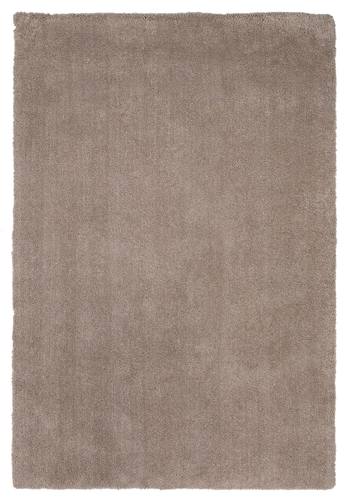 Bliss Beige Shag Area Rug by KAS Rugs