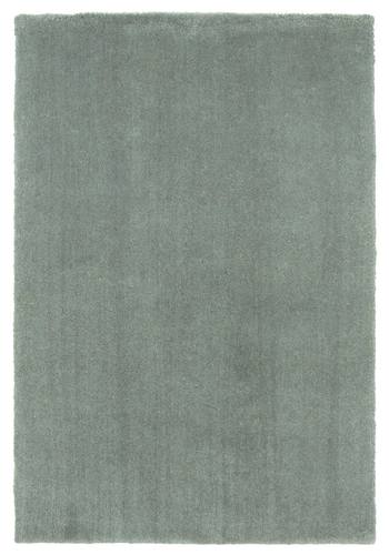 Bliss Slate Shag Area Rug by KAS Rugs
