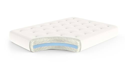 Cotton and Foam 8 Inch Futon Mattress by Gold Bond