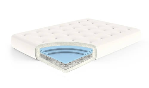Visco Coil II 9 Inch Futon Mattress by Gold Bond