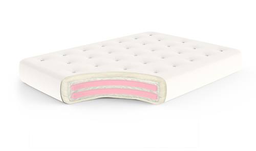 Wool Wrap Cotton And Double Foam 8 Inch Futon Mattress by Gold Bond