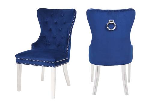 Erica Dining Chairs w/Stainless Steel Legs (Set of 2) by Galaxy Furniture