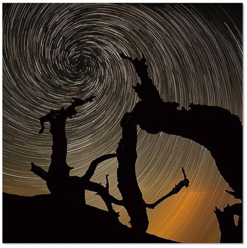 Premium Acrylic Wall Art Aurora - SB-SH-72407 by J&M Furniture