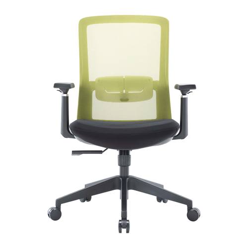 Ingram Modern Green Office Task Chair w/Adjustable Armrests by LeisureMod