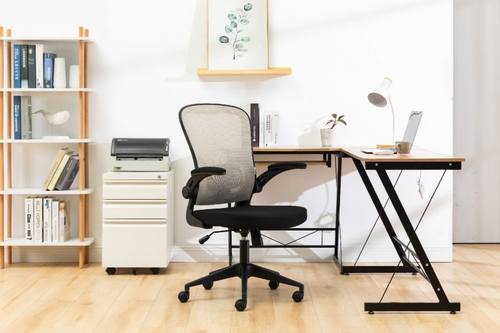 Newton Mesh Office Chair, Beige by LeisureMod