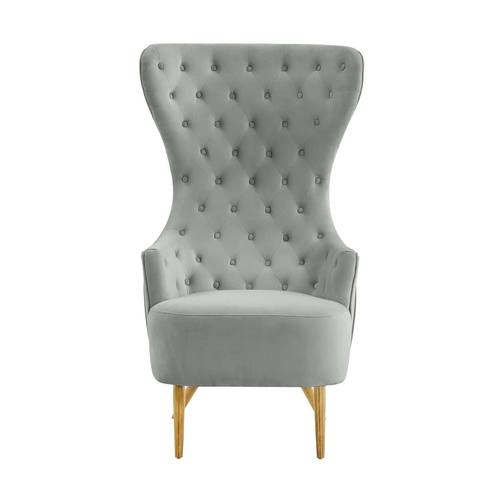 Jezebel Gray Velvet Wingback Chair by TOV Furniture
