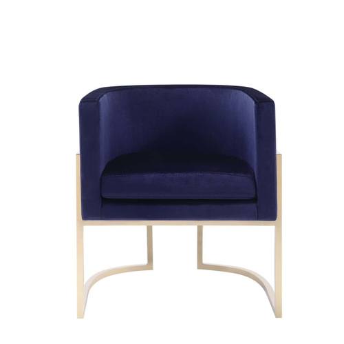 Modrest Betsy - Modern Navy Blue Velvet & Gold Kids Chair by VIG Furniture