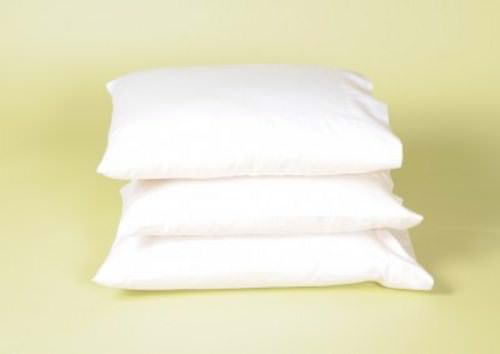 Organic Cotton Pillow by White Lotus