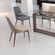 Moor Dining Chair Dark Gray (Set of 2) by Zuo Modern