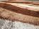 Aria Beige & Brown Soft Pile Shaggy Area Rug by Amazing Rugs